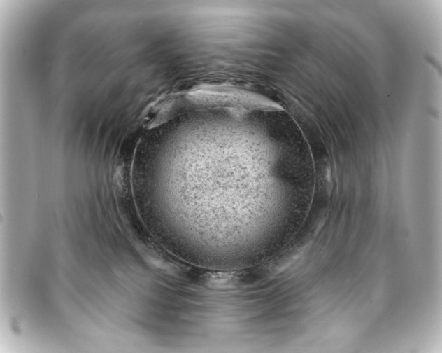 X0000095510088200712281447