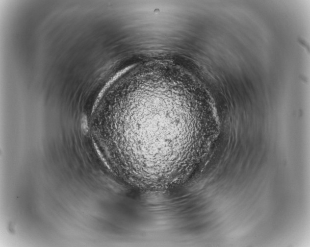 X0000095510089200712281447