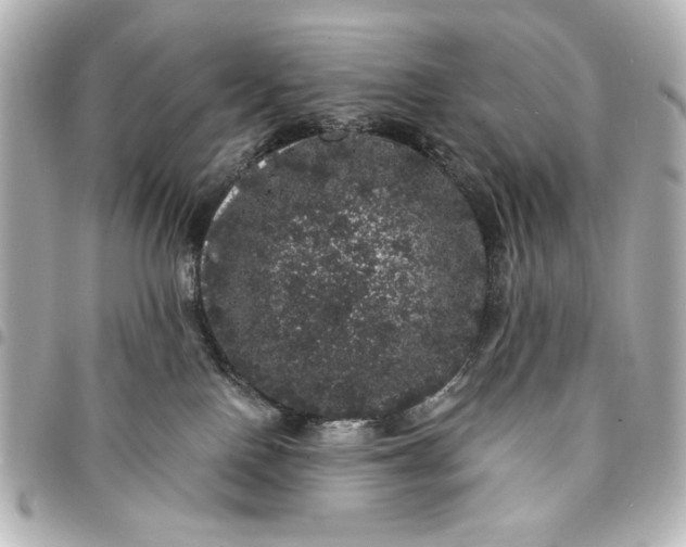 X0000095510090200712281447