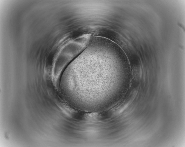 X0000095510092200712281447