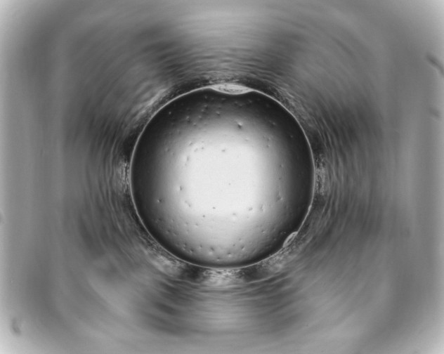 X0000095510093200712281447
