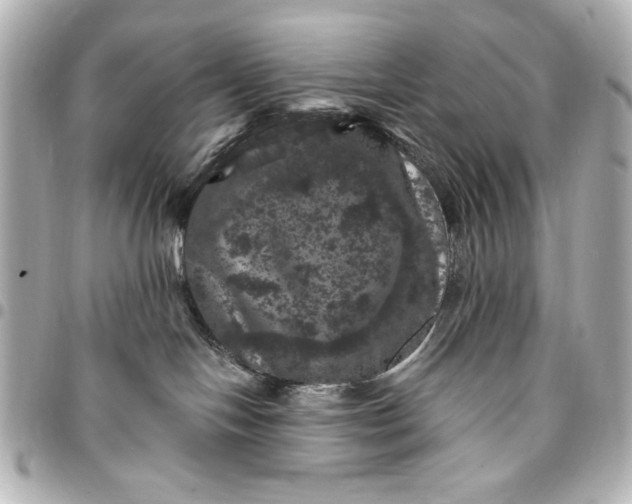 X0000095510094200712281447