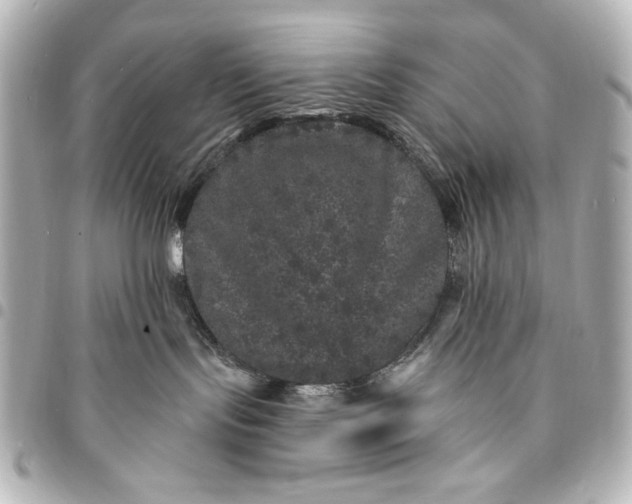 X0000095510095200712281447