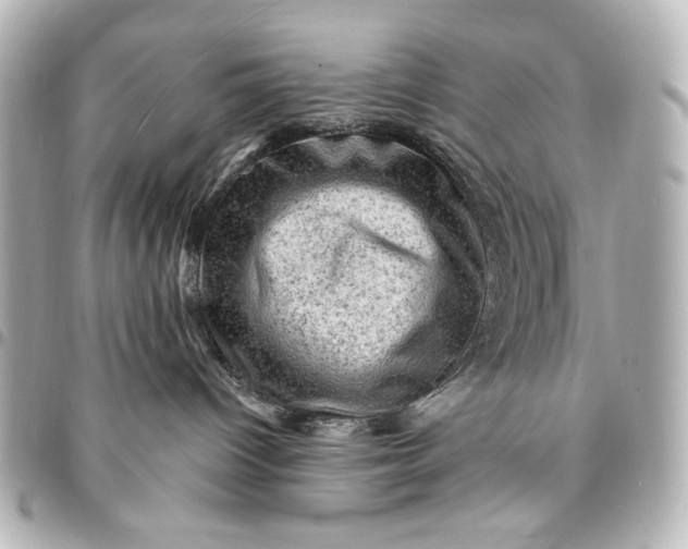 X0000095510096200712281447