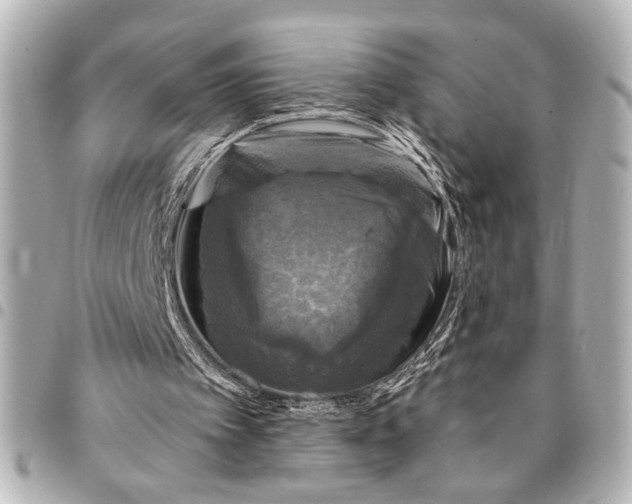 X0000095510097200712281447