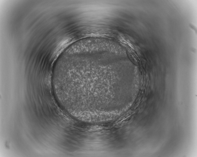X0000095510098200712281447