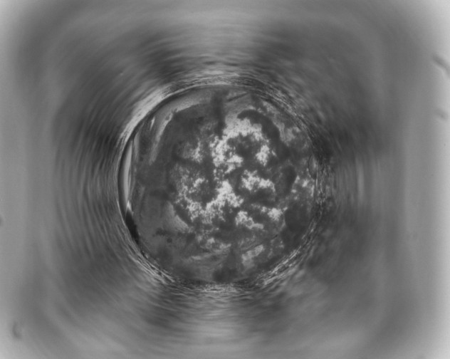 X0000095510099200712281447