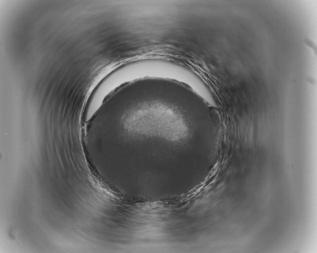 X0000095510100200712281447