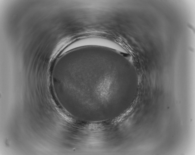 X0000095510101200712281447