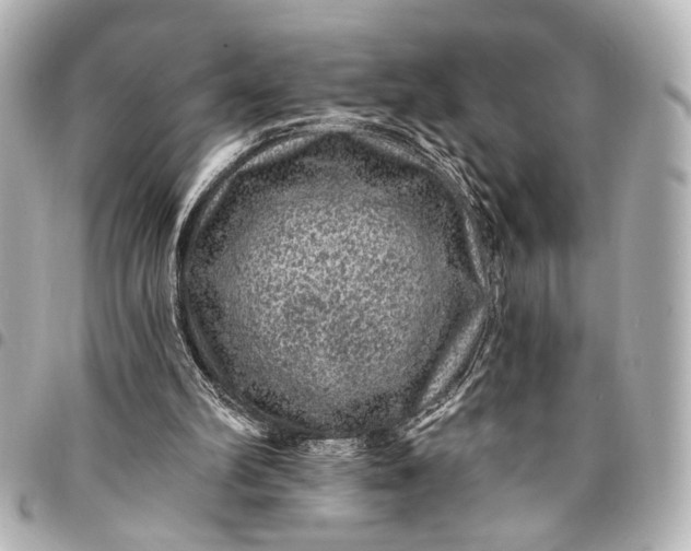 X0000095510102200712281447
