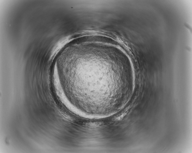X0000095510103200712281447