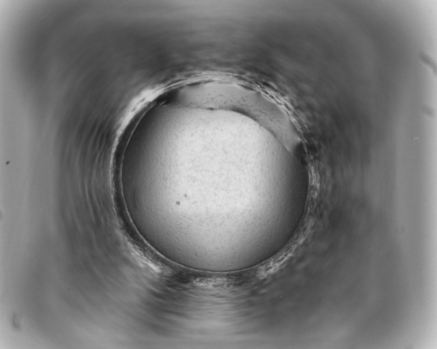 X0000095510104200712281447