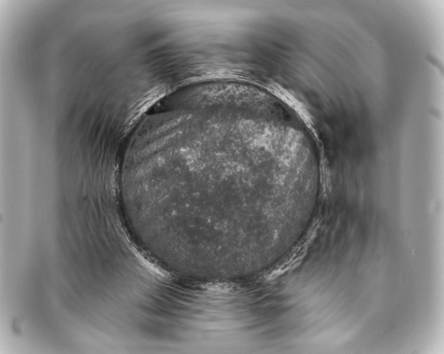 X0000095510105200712281447