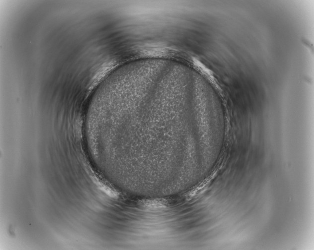 X0000095510106200712281446