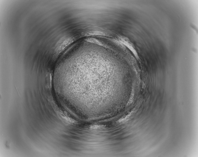X0000095510109200712281446