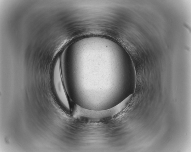 X0000095510112200712281446