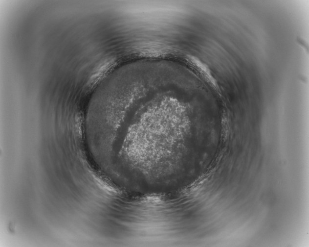 X0000095510114200712281446