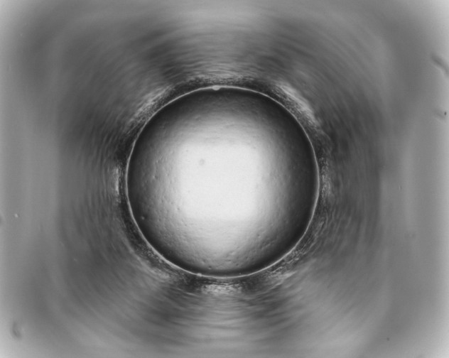 X0000095510115200712281446