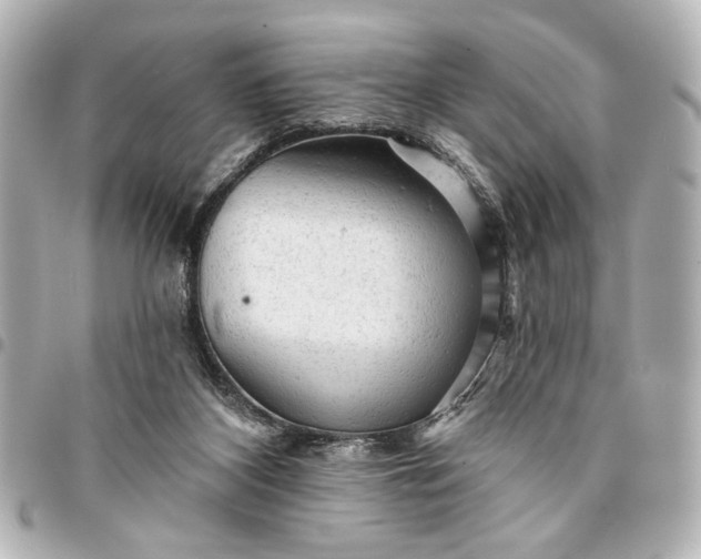 X0000095510116200712281446