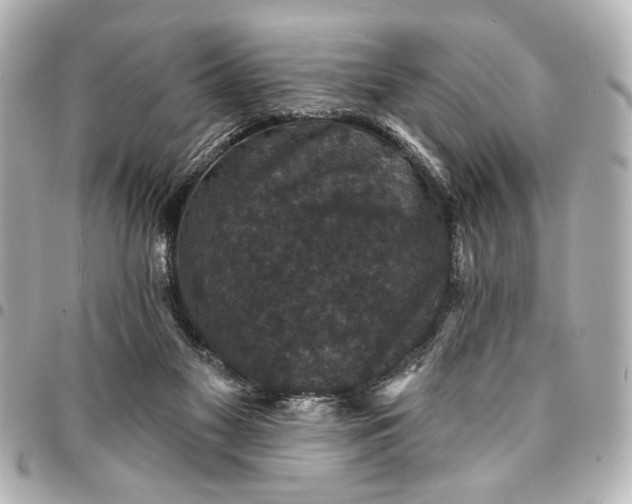 X0000095510117200712281446