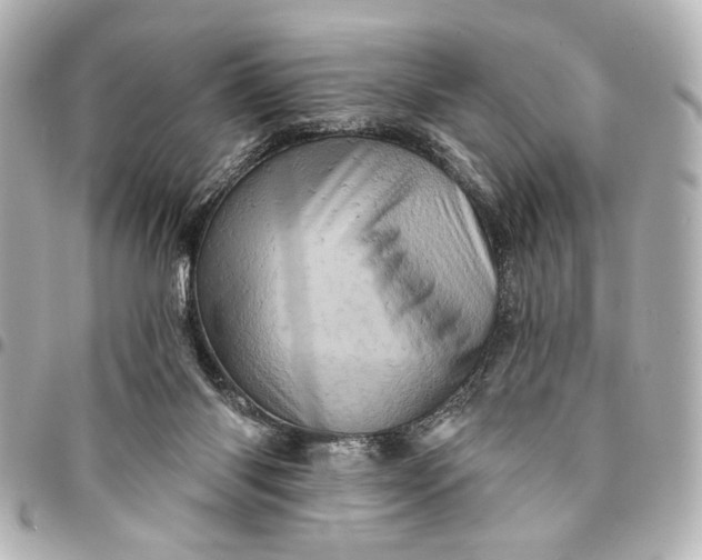 X0000095510118200712281446