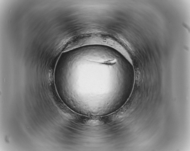 X0000095510119200712281446