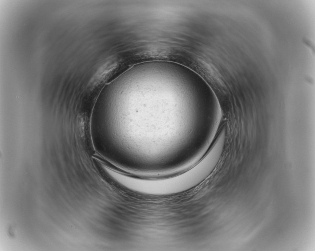 X0000095510120200712281446