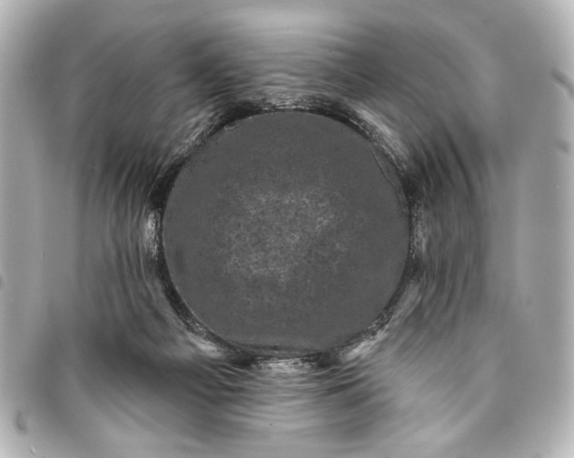 X0000095510121200712281446