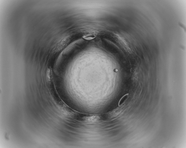 X0000095510122200712281446