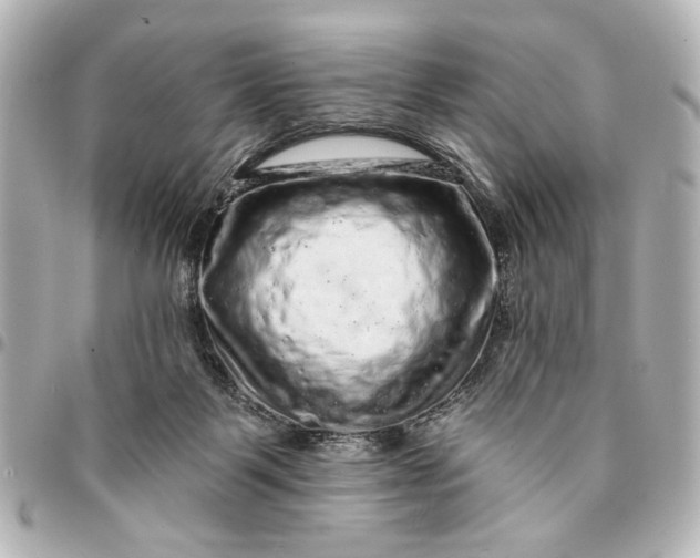 X0000095510123200712281446