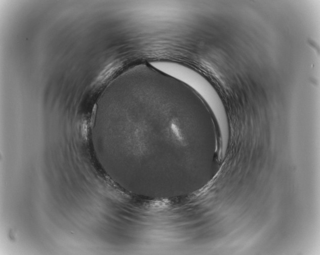X0000095510124200712281446