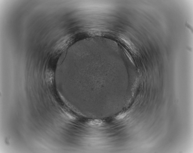 X0000095510125200712281446