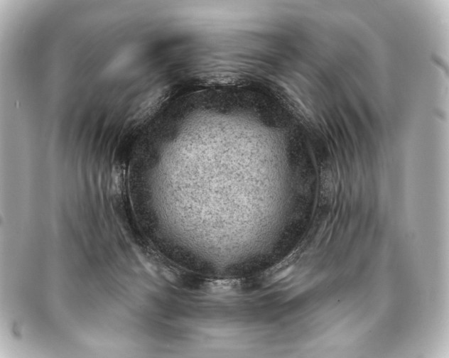 X0000095510126200712281446