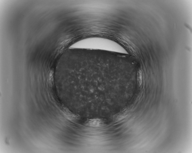 X0000095510127200712281446