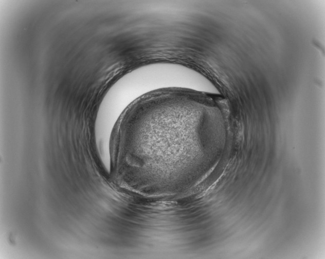 X0000095510128200712281446
