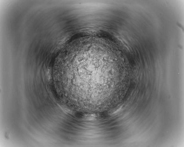 X0000095510131200712281446