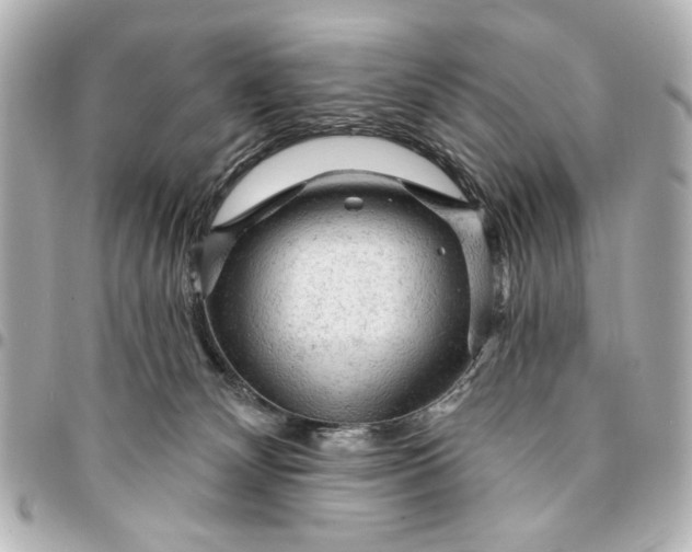 X0000095510132200712281446