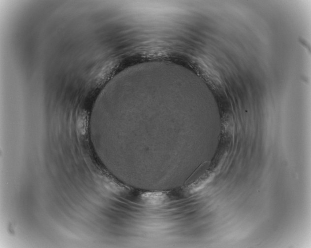 X0000095510133200712281446