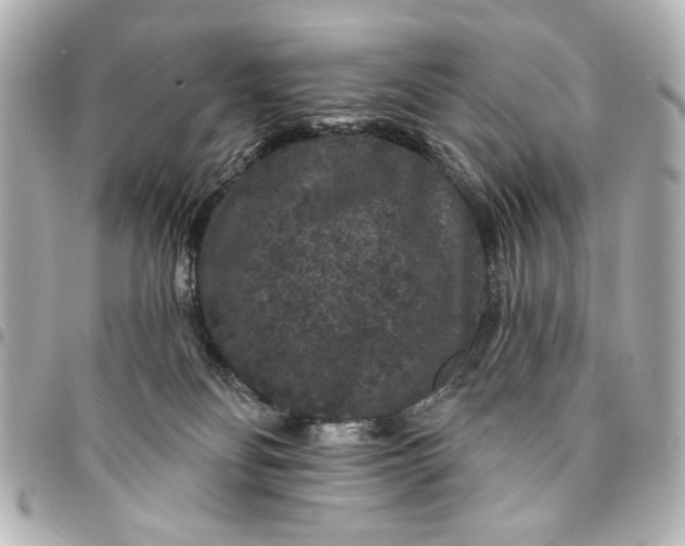 X0000095510134200712281446