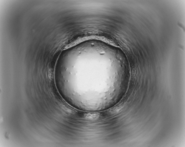 X0000095510135200712281446