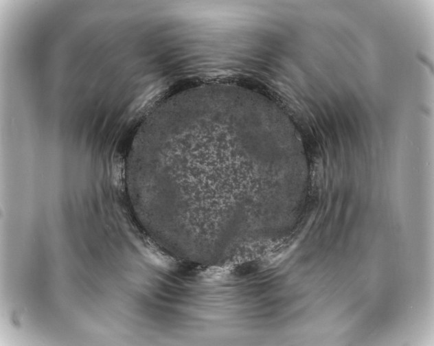 X0000095510138200712281446