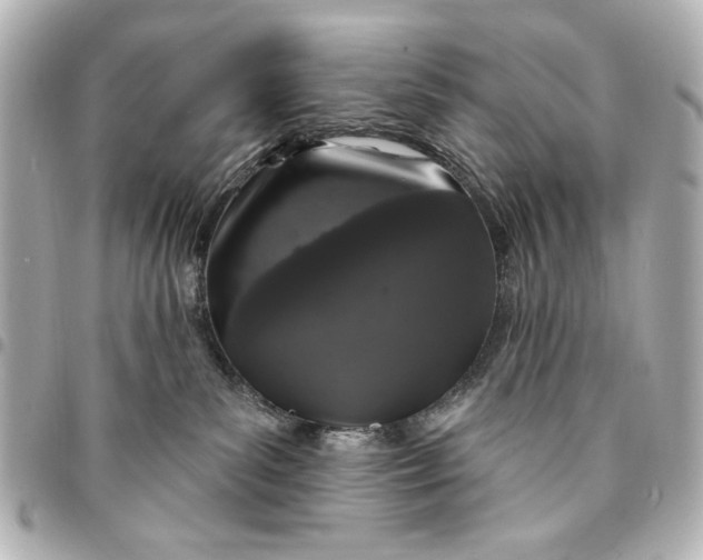 X0000095510139200712281446
