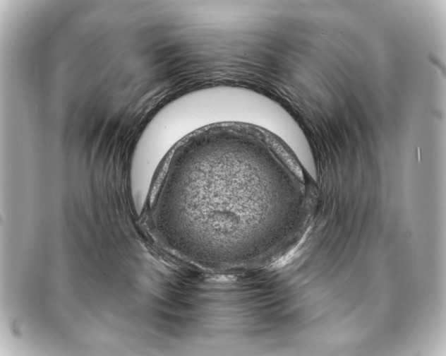 X0000095510140200712281446