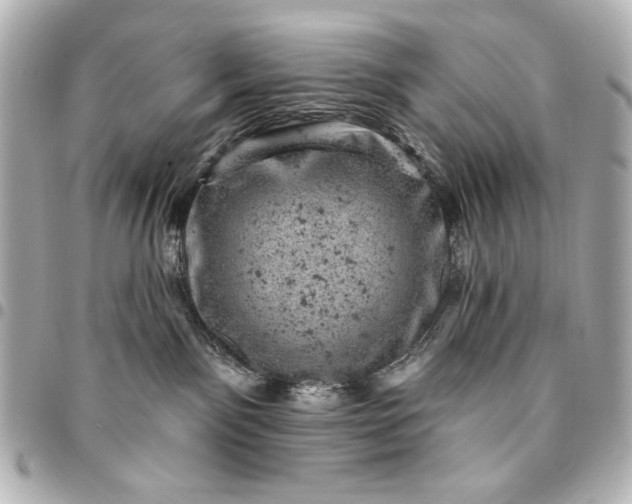 X0000095510141200712281446