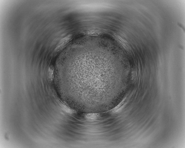 X0000095510142200712281446