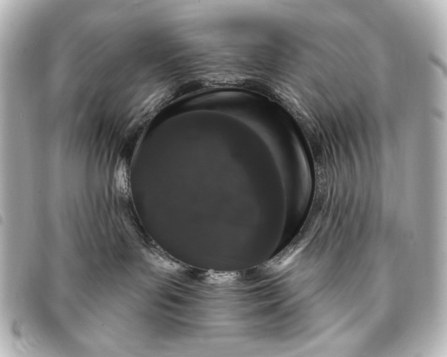 X0000095510143200712281446