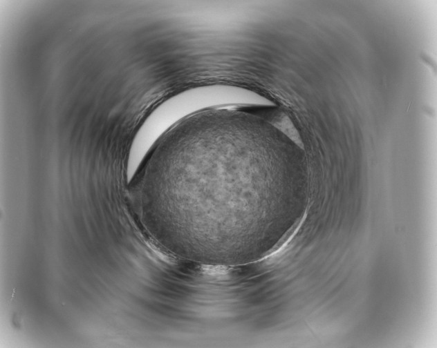 X0000095510144200712281446