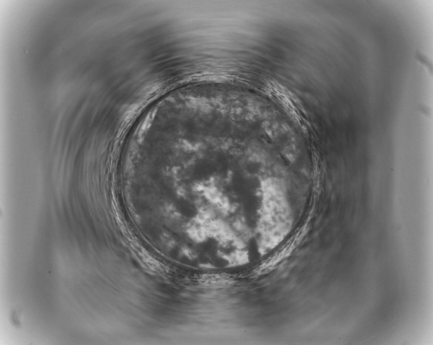 X0000095510145200712281445