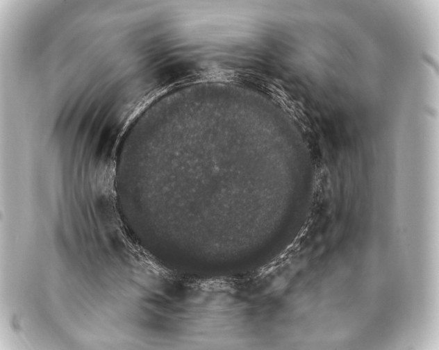 X0000095510146200712281445