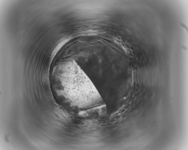 X0000095510147200712281445